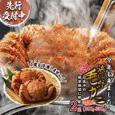 ふるさと納税 新ひだか町 ＜2027年2月上旬より発送開始＞ 北海道産浜ゆで毛ガニ 2尾 計600g以上 ＜先行受付＞