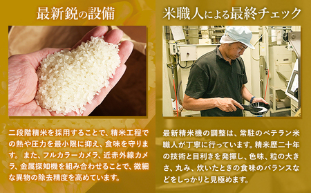 新米 令和7年産 【隔月3回定期便】 こしひかり 10kg 無洗米 熊本県産(南阿蘇村産含む) 単一原料米 南阿蘇村 産 米 定期便《お申込月の翌月から出荷開始》
