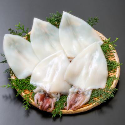 ふるさと納税 大田市 刺身より美味しい!白いか(剣先イカ)一夜干　5枚(1枚:60〜80g)　S48 |  | 01