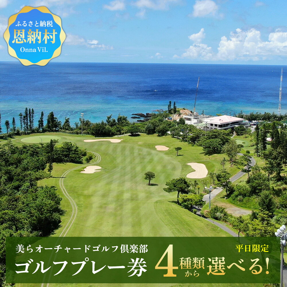 【ふるさと納税】美らオーチャードゴルフ倶楽部【平日限定】ゴルフプレー券(恩納村・1ラウンド)