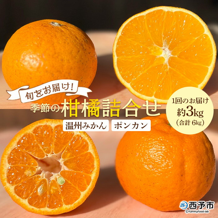 【ふるさと納税】＜旬をお届け！季節の柑橘 2回定期便（温州みかん約3kg・ポンカン約3kg）＞ミカン ぽんかん 蜜柑 果物 フルーツ 2種類 食べ比べ 手軽 特産品 二ノ宮商事 国産 愛媛県 西予市【常温】『1回目：2025年11月から12月中旬／2回目：2026年1月に順次出荷予定』