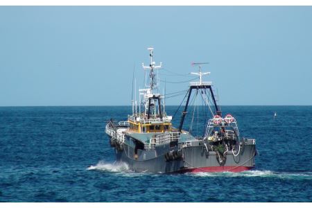 あけぼの丸と浜の匠が贈る高級のどぐろ一夜干し約400ｇ特大サイズ木箱入【1391】