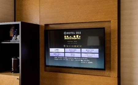 宿泊券 静岡 藤枝市 ホテルオーレ ツインルーム 1泊朝食付 チケット