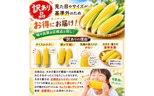 必ずご確認の上、ご寄附をお願い致します。