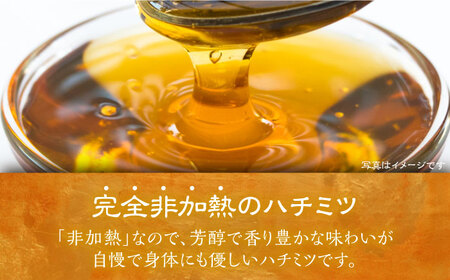 日本ミツバチの蜂蜜(ギフトセット150g×2本)《豊前市》【日本ミツバチことえ工房】蜂蜜 はちみつ ハチミツ[VCM001] はちみつ はちみつ 蜂 はちみつ 蜂蜜 はちみつ ハチミツ はちみつ はち