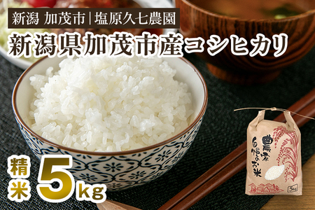 【令和8年産新米先行予約】新潟県加茂市産コシヒカリ 精米5kg（5kg×1袋）《10月上旬～順次出荷》
