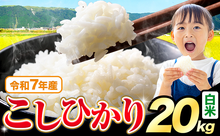 令和7年産 米 白米 こしひかり 20kg《7-14日以内に出荷予定(土日祝除く)》熊本県産 ふるさと納税 白米 精米 ひの 米 こめ ふるさとのうぜい コシヒカリ コメ お米 おこめ---reihoku_loc_441_20kg---