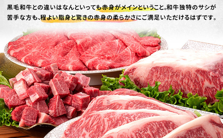 牛肉 定期便 3ヶ月 はこだて和牛 ブロック肉 3.6kg ( 1.2kg × 3回 ) 和牛 あか牛 小分け 北海道 煮込み料理用