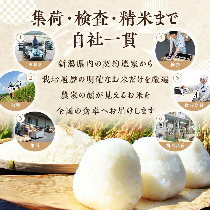 【先行予約】R8年産 新潟県産 品種おまかせ  5kg 6か月定期便 新潟県 新潟市産 令和8年産 お米 精米 米 ご飯 送料無料