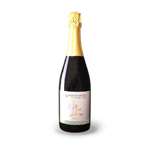 上ノ国ワイナリー「ワイン6ヶ月定期便　各種毎月1本」　750ml×1本　北海道ワイン　ワイン　WINE　wine　定期便　赤ワイン　スパークリングワイン　お家パーティ　プレゼント　贈り物　贈答品