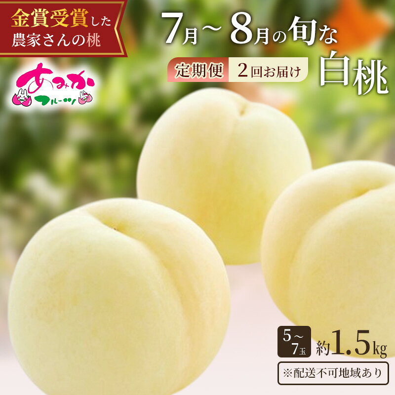 【ふるさと納税】桃 定期便 2026年 先行予約 7月～8月 の旬な 白桃 定期便！約1.5kg 5～7玉 2回お届け！ もも モモ 岡山県 赤磐市産 国産 フルーツ 果物 ギフト あみかフルーツ 柔らかい ジューシー 　お届け：2027年7月上旬～2027年8月下旬