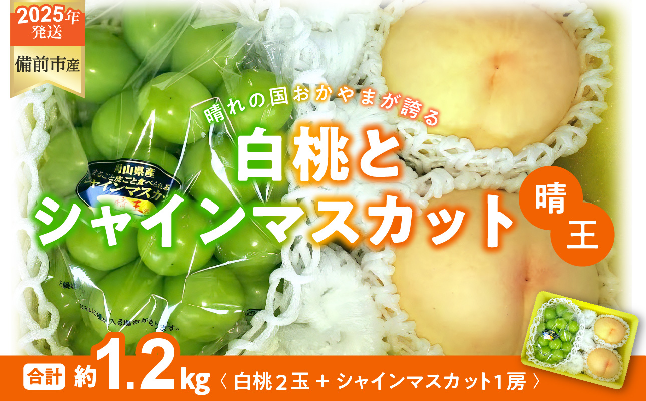 【2025年発送分 先行受付スタート！】岡山県産 白桃とシャインマスカットのセット（令和７年7月以降発送）