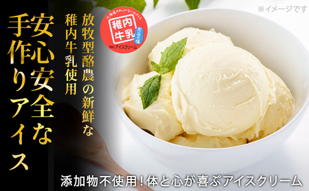 【業務用】稚内牛乳アイスクリーム2000ml宗谷の塩×宗谷の塩2個セット【配送不可地域：離島・沖縄県】