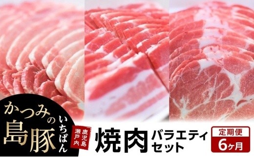 【定期便6か月】かつみの島豚いちばん焼肉バラエティセット 750g（250g×3パック）