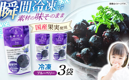 長崎冷果 ブルーベリー 3袋セット　/ 冷凍 冷凍フルーツ ブルーベリー ベリー / 諫早市 / エスジーエス株式会社[AHEQ004]