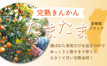 AQ-A1 串間市産きんかんたまたま使用！たまリッチアイス詰合せ(9個)【たまたまクラブ】