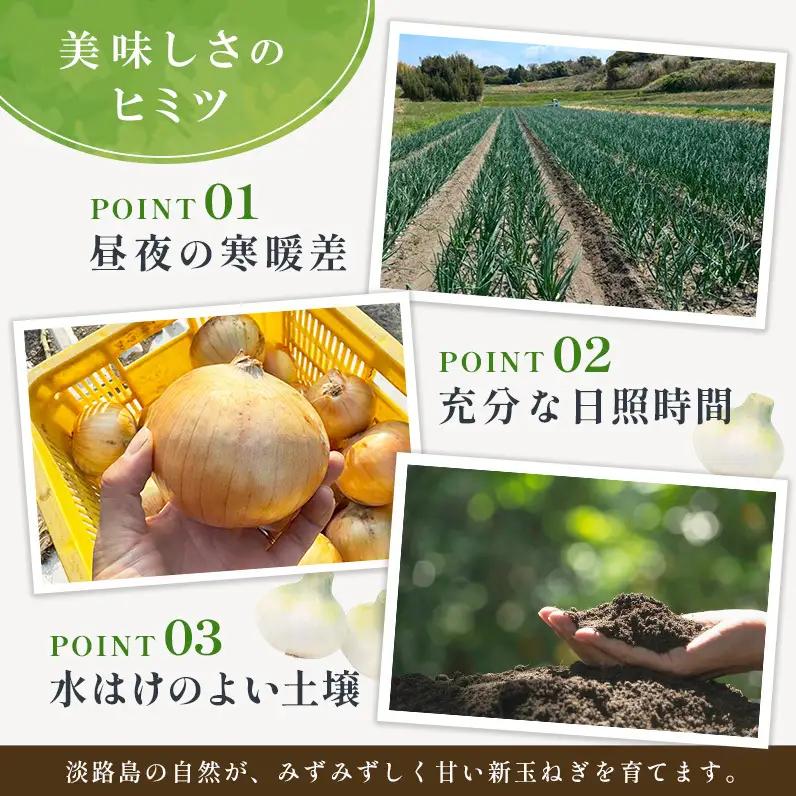 新玉ねぎ 淡路島産 5kg 甘い みずみずしい 新玉ねぎ