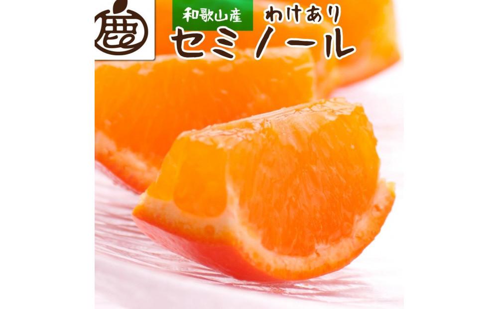 ＜4月より発送＞ 家庭用 セミノールオレンジ 5kg+150g（傷み補償分） 有田の春みかん 有田産 光センサー食べ頃出荷 訳あり わけあり ［IKE152］ 303446_BB90034