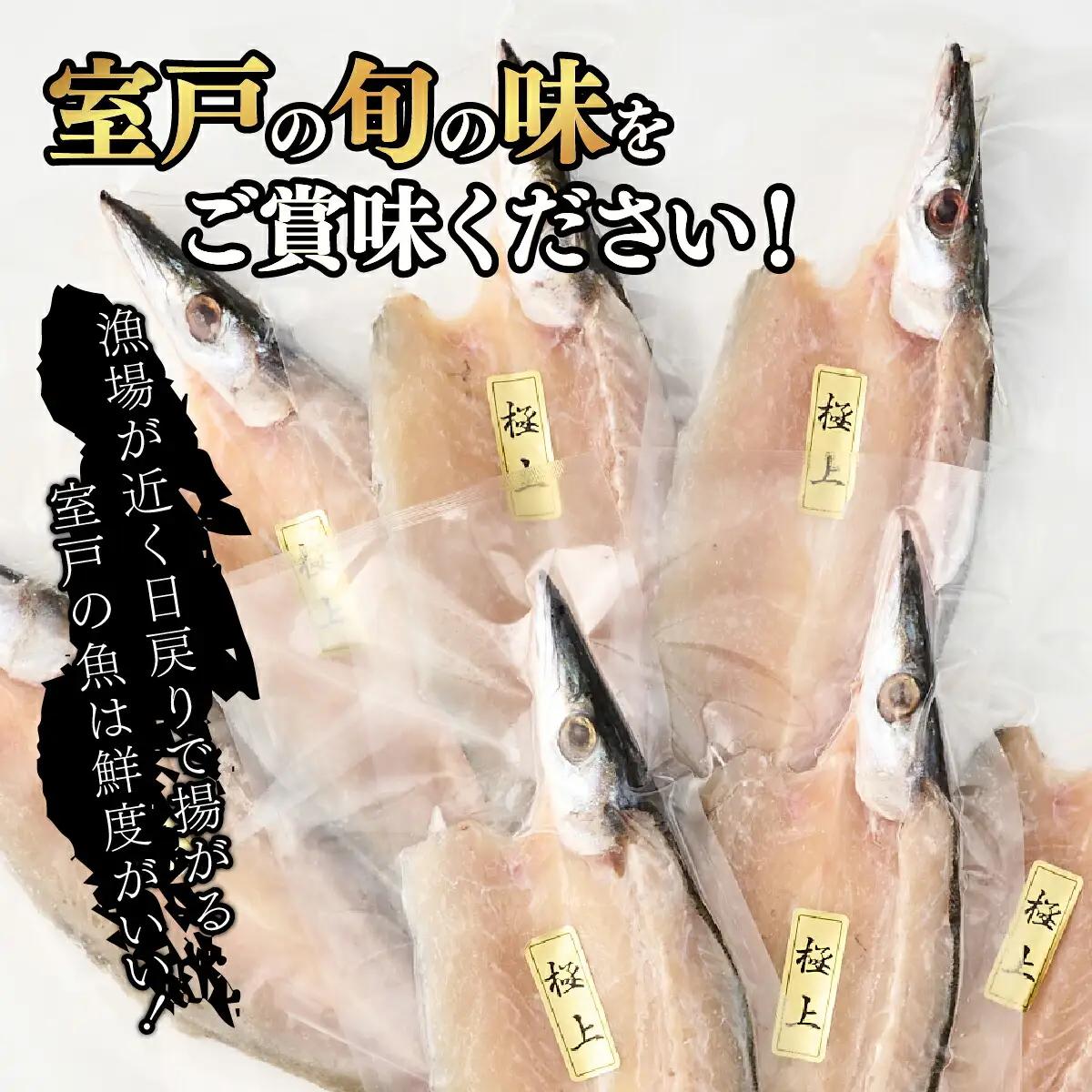 カマス 干物 10枚 国産 カマス