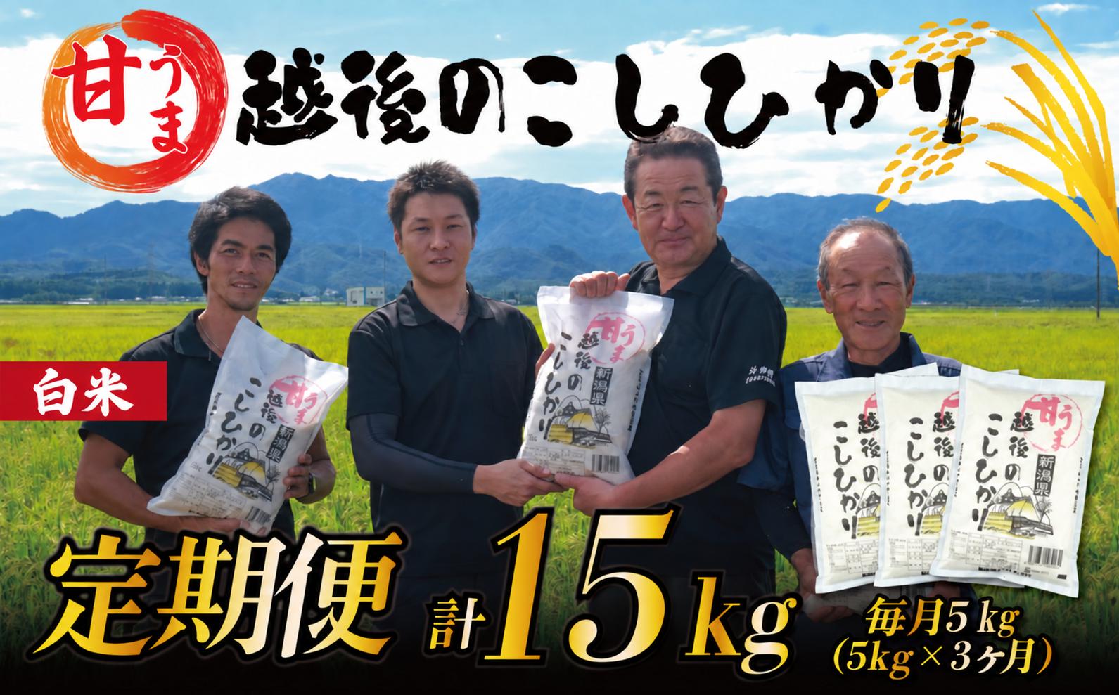 【令和8年産定期便】 3ヶ月 定期便 コシヒカリ 白米 5kg 3ヵ月 15kg 令和8年産 甘うま越後の こしひかり 米 お米 こめ 新潟米 新潟県産 新潟産 新潟 新潟県 新発田産 新発田 新発田市 斗伸 toushin077_01