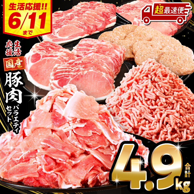 生活応援！ 大満足 豚肉 バラエティ セット 4.5kg ミヤチク 豚ロース 切り落とし ミンチ 《レビューキャンペーン》肉 豚 赤身 宮崎県産 国産 スライス 生姜焼き しゃぶしゃぶ ハンバーグ 訳あり 小分け 使い勝手 冷凍 グルメ 宮崎県 宮崎市 送料無料