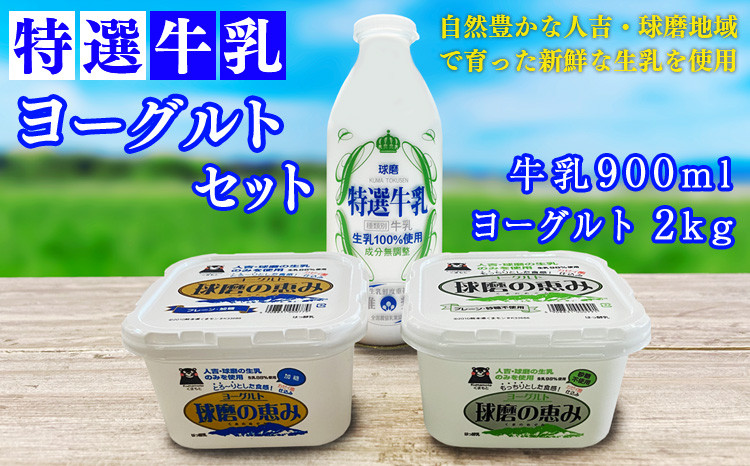 特選牛乳・球磨の恵みヨーグルト(加糖1㎏・砂糖不使用1㎏)セット【牛乳900ml：賞味期限　到着後6日】