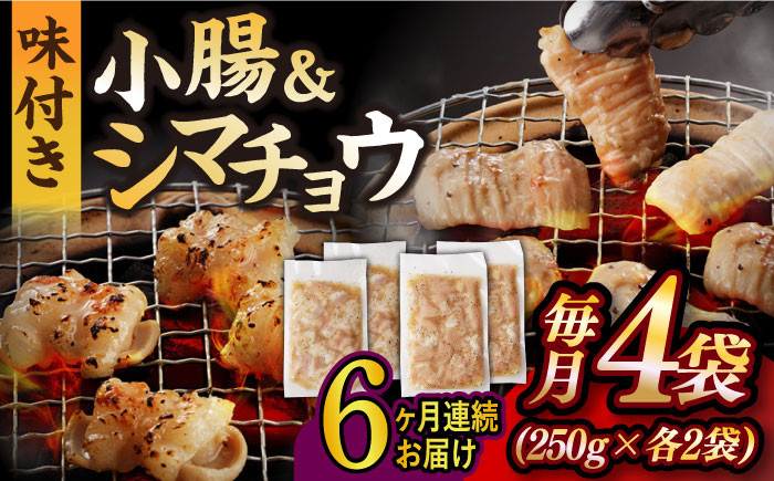 
                  【全6回定期便】【塩だれ】 九州産和牛 ホルモン 2種 計1kg（ シマチョウ 250g×2袋・ 小腸 250g×2袋） 長与町/岩永ホルモン [EAX148] ホルモン焼き 国産 牛肉 ホルモン ミックス 小分け 味付き 冷凍 焼肉 焼き肉 和牛 塩 しお 牛 定期便 ていきびん 定期
                
