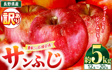 【11月下旬発送】農園応援企画 訳アリ サンふじ  5kg ( 12 ～ 20玉 )｜りんご アップル 松本市 家庭用 フードロス サンふじ りんご 林檎  人気 果物 フルーツ 信州 美味しい 訳アリ 長野県