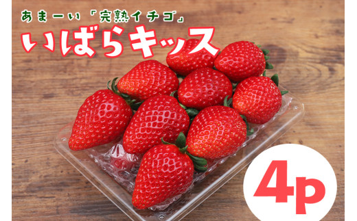 【2026年先行予約】完熟いちご 「 いばらキッス 」4p 1kg 以上 完熟 いちご 4パック 甘い 高糖度 春 苺 旬 フルーツ 果物 デザート ギフト 贈答用 国産 朝採れ 新鮮 産地直送 茨城県 石岡市 (A31-006)