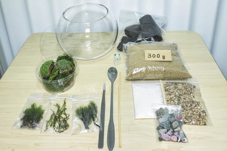 コケテラリウム制作キット直径15cm 動画説明付き〈コケ 植物 インテリア