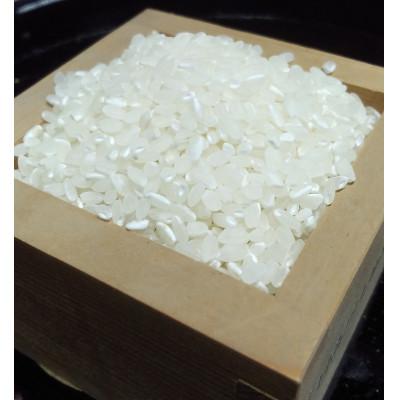 ふるさと納税 御坊市 【農家直送】和歌山県御坊市産あきたこまち精米10kg〔5kg×2袋〕(未検査米) |  | 02