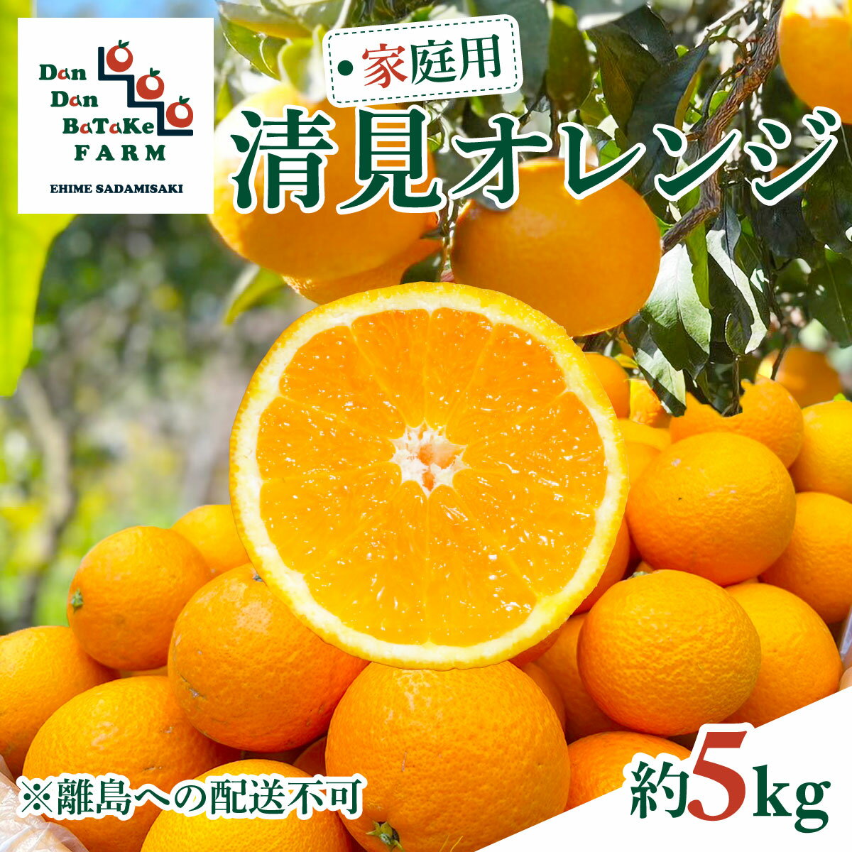 【ふるさと納税】【先行予約】【家庭用】清見オレンジ 約5kg ※離島への配送不可　※2026年2月下旬より順次発送予定【ふるさと納税 人気 おすすめ ランキング 柑橘 みかん ミカン フルーツ 果物 オレンジ 清見オレンジ 愛媛県産 愛媛県 伊方町 送料無料】 IKTAU010