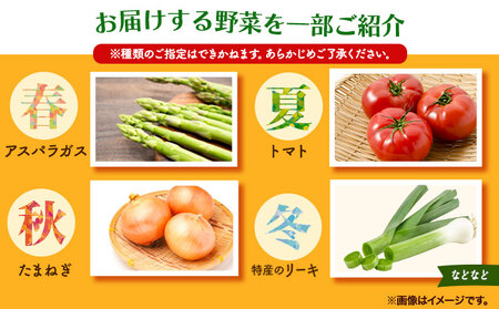 旬の野菜詰め合わせ 