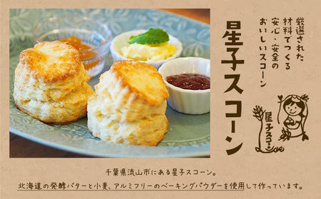 星子 スコーン 詰め合わせ 3種 9個