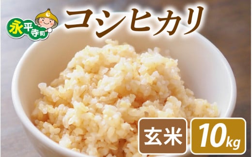 【先行予約】永平寺町飯島産　コシヒカリ  【玄米】10kg /ふるさと納税 米 こしひかり 10キロ  福井県 永平寺町 の おいしい お米 発祥の地 こめ おこめ 玄米 精米 国産 限定 ごはん ご飯 白飯 ゴハン 玄米 ふるさと ランキング 人気 おすすめ 送料無料 産地直送 農家直送 福井県 永平寺 国産米 [C-074002] 
