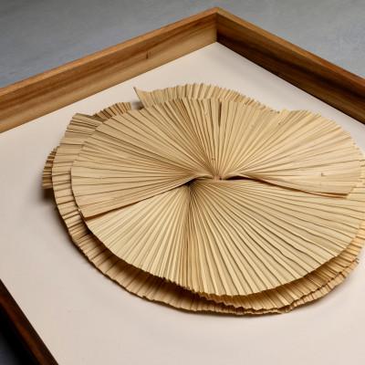 ふるさと納税 伊平屋村 クバの額装KUBANOHOSHI(ホワイト)Mサイズ |  | 02