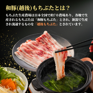 豚肉 越後もちぶた こま切れ肉 1.5kg (300g×5パック) | 豚肉 新潟県