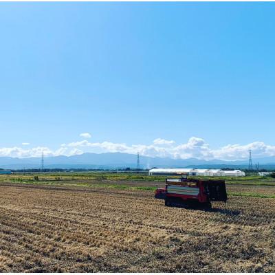 ふるさと納税 南陽市 【令和7年産新米】　山形県産つや姫　精米5kg　栽培期間中農薬使用8割減特別栽培米【S1787】 |  | 01