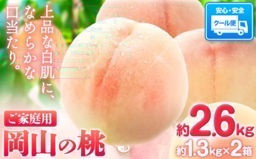 【先行予約】岡山の桃 約2.6kg(約1.3kg×2箱)《2026年6月下旬-9月上旬頃出荷》 ご家庭用 訳あり 白桃 岡山県 笠岡市 モモ もも 先行予約 送料無料 清水白桃 白鳳 白麗