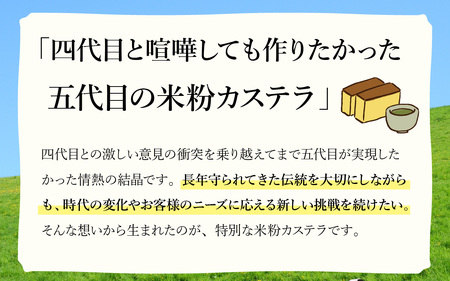 竹内菓子舗 竹内菓子舗 4代目と喧嘩しても作りたかった5代目の米粉カステラ 15個入り [A-203005] / カステラ かすてら 菓子 和菓子 銘菓 個包装 ギフト プレゼント 上質 しっとり 優