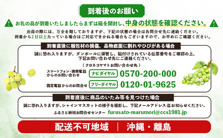 【2025年先行予約】　《2025年10月上旬～11月下旬出荷》 宮城県丸森町産 シャインマスカット　2房(1房 600g以上)　【48003】