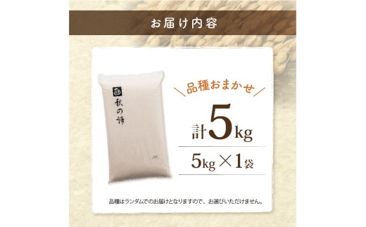 近江米 おまかせ5kg 白米 令和7年産 5kg 5キロ お米 ご飯 精米 米 こめ 国産 滋賀県 近江米 近江 訳あり ごはん ブランド米 単一米 簡易包装 滋賀 彦根