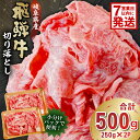 【ふるさと納税】 【7営業日以内発送】 飛騨牛 切り落とし 500g 250g×2 牛肉 カレー シチュー 牛丼 肉じゃが 牛しぐれ煮 牛すき煮 炒め物 食品 肉 国産 和牛 ブランド牛 ブランド 小分け パック セット 国産牛 お肉 ロース 赤身 バラ ミックス 冷凍 料理 岐阜県 送料無料