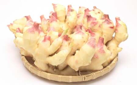 国産 黄金生姜使用 寿司ガリ 45g×5袋  計225g 甘酢 ガリ スライス 