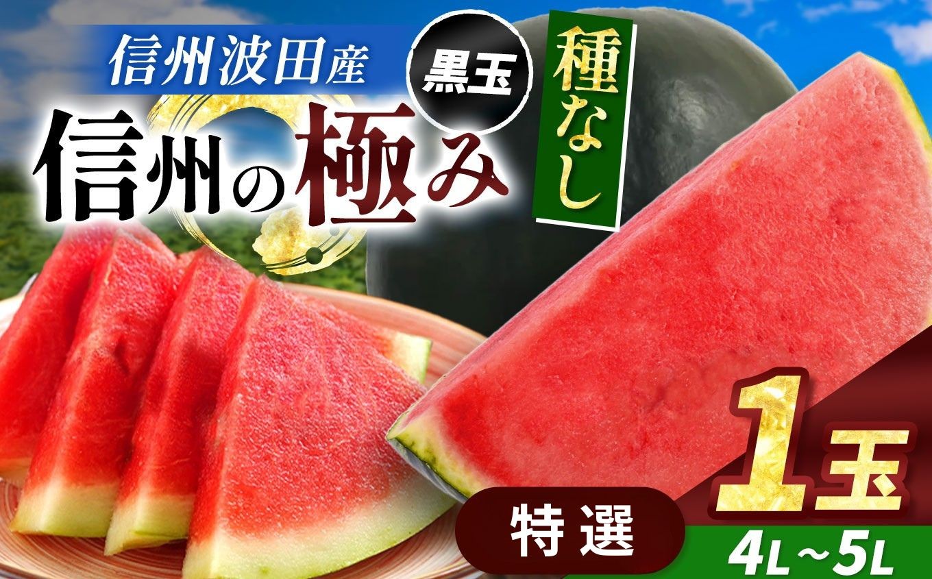
            【先行受付：2026年7月発送】信州波田産 種無し黒玉スイカ！信州の極み 【特選】 4L～5Lサイズ 1玉｜ふるさと納税 長野県 信州 松本 果物 フルーツ すいか スイカ 西瓜 贈答 季節限定 甘い くだもの ふるーつ
          