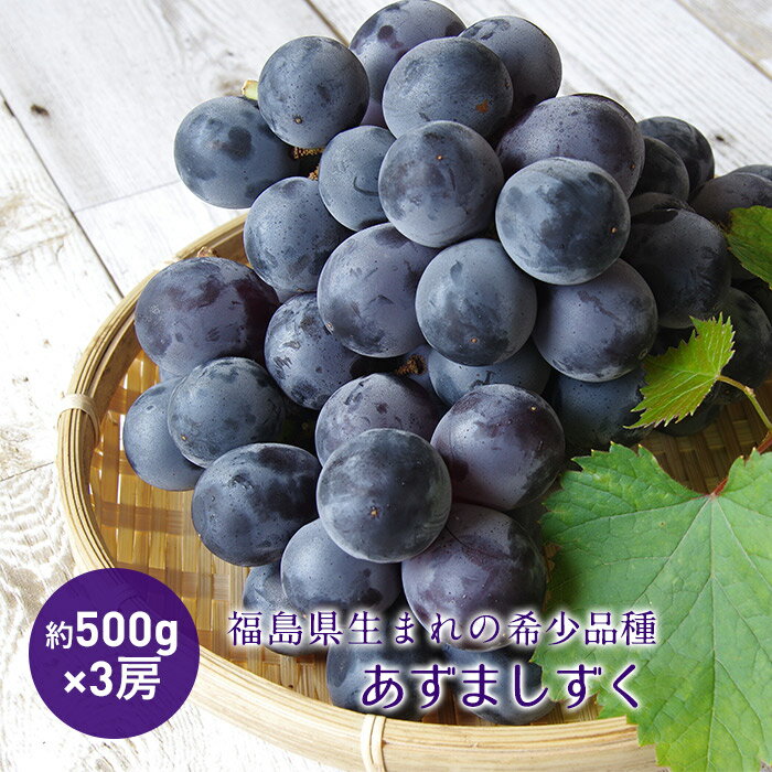 【ふるさと納税】《先行予約》あずましずく 約1.5kg (約500g×3房) ぶどう オリジナル品種 あずましずく 希少 ブドウ 葡萄 くだもの フルーツ デザート 先行予約 予約 F4D-0076