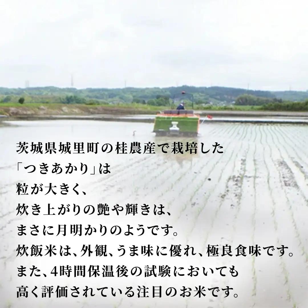 【 3ヵ月定期便 】つきあかり 10kg ×3回 令和7年 精米 産地直送 茨城県 城里町 (AX075)