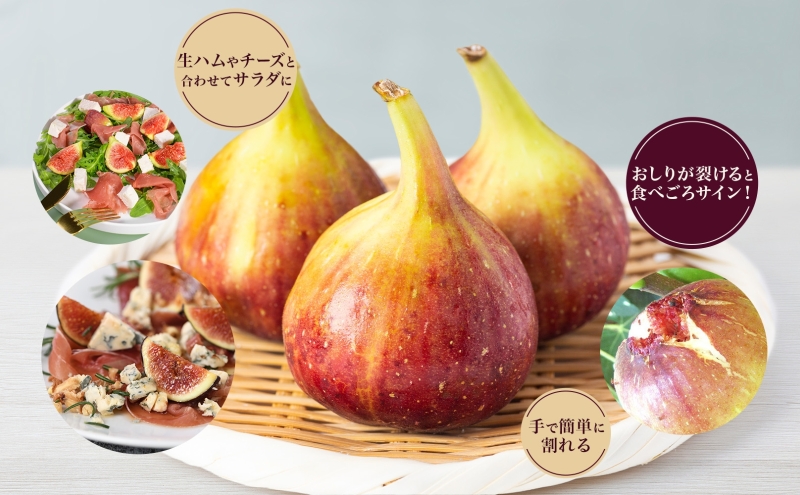 数量限定 いちじく 蓬莱柿 ほうらいし 約1kg 8粒～12粒 朝穫れ 果物 フルーツ 無花果 イチジク 愛知県産 デザート おやつ 食後 朝採り 産地直送 お取り寄せ 送料無料 名古屋西青果 愛知県