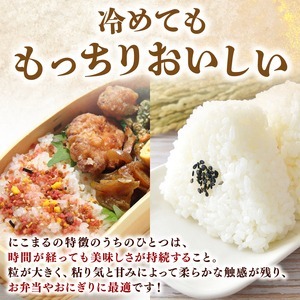 【令和8年産】 米 にこまる 計 15kg 定期便 5kg × 3回