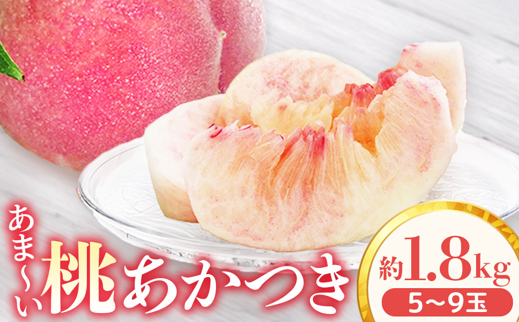 
                  アグリスタくましろのあまーい桃『あかつき』約1.8kg　＜2026年7月中旬～7月下旬発送予定＞
                